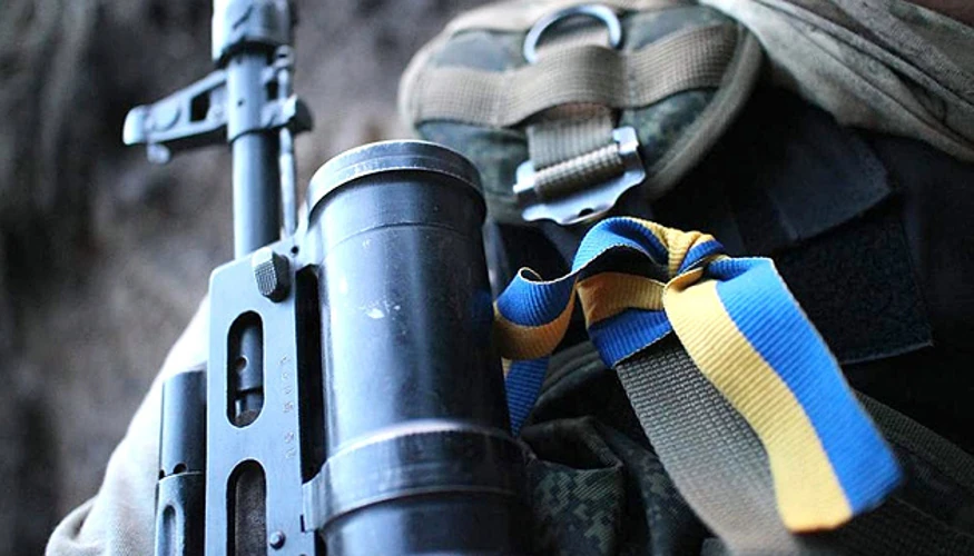 «Хартія» звільнила ще 2 км² лісу на Куп’янщині: підтверджені дані